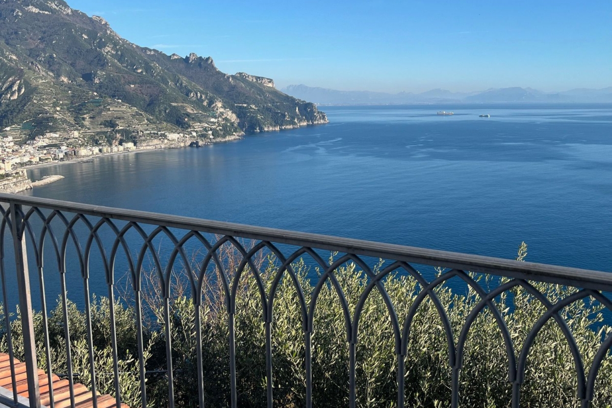 Immagine WhatsApp 2024-11-20 ore 10.26.12_c8abb8f5