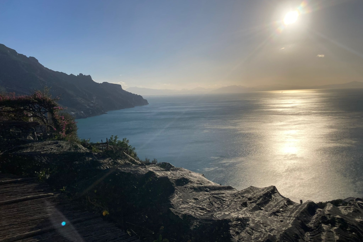 Immagine WhatsApp 2024-11-20 ore 10.26.16_b8004bed